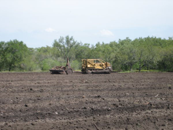 Land Clearing