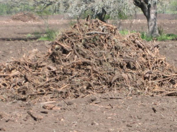 Land Clearing